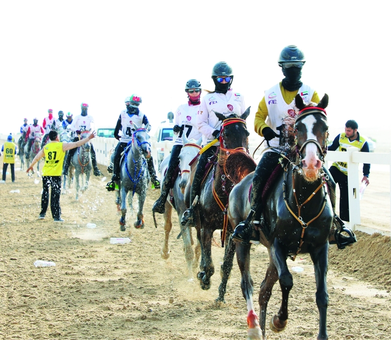 "سباق الوثبة يعد افتتاحاًًًًً لموسم القدرة في الإمارات | البيان"