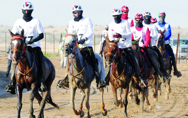 "إنجازات فرسان الإمارات قادتهم إلى الريادة العالمية | البيان"