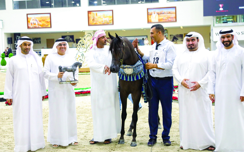 "خالد التوحيدي وعبد العزيز المرزوقي سعيدان بالإنجازات الذهبية في المهرجان | من المصدر"