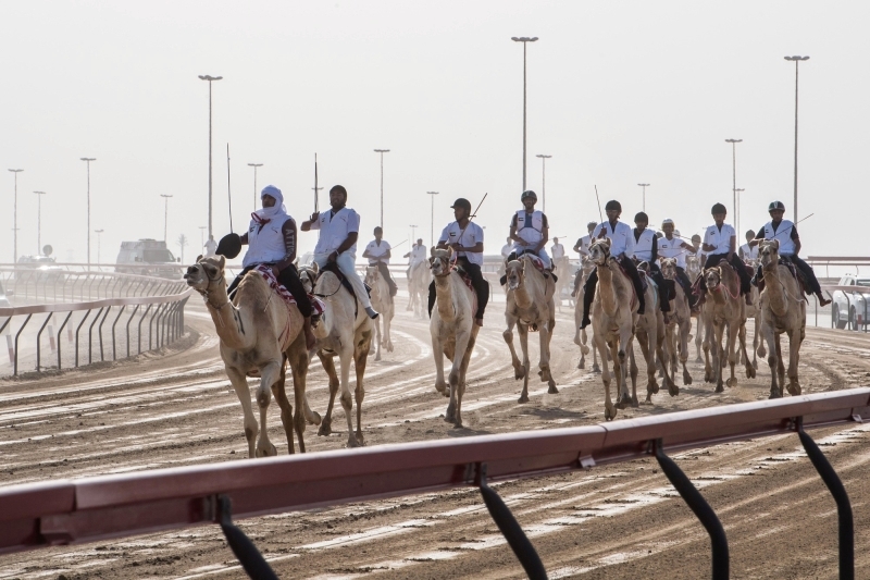 "ماراثون اليوم الوطني للهجن يستقطب أعداداً كبيرة من الشباب المواطنين | البيان"