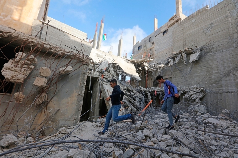 سنديانة فلسطين.. حكايا كفاح هزمت جبروت الاحتلال