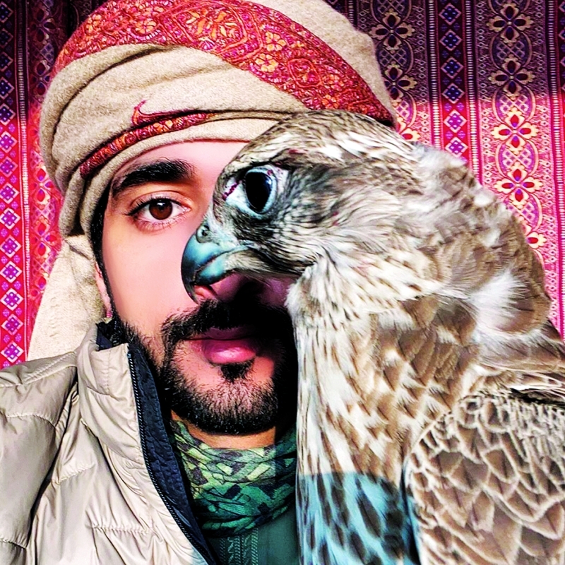 عين الصقر