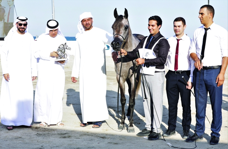 "تتويج «دي نواهل» لمربط دبي بطلة الشوط الثالث | البيان"