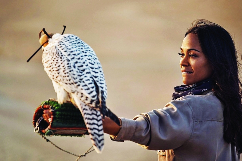 «دبي للسياحة» تطلق الفيلم الترويجي «A Story Takes Flight»