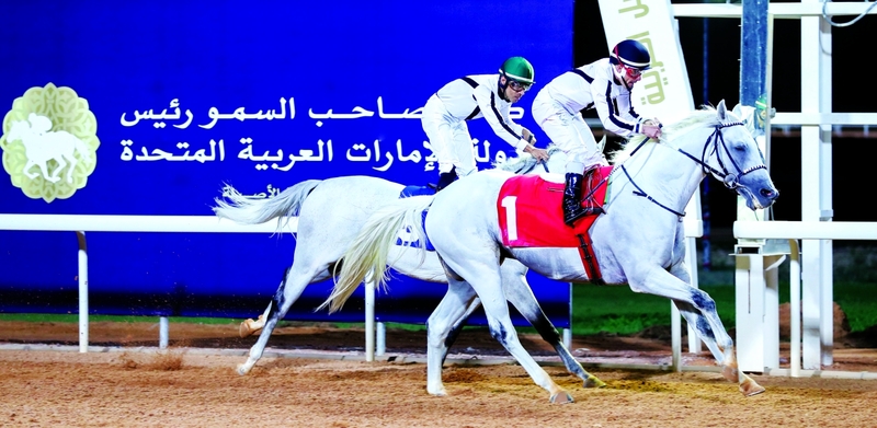 "أفضل الفرسان يشاركون في البطولة | البيان"