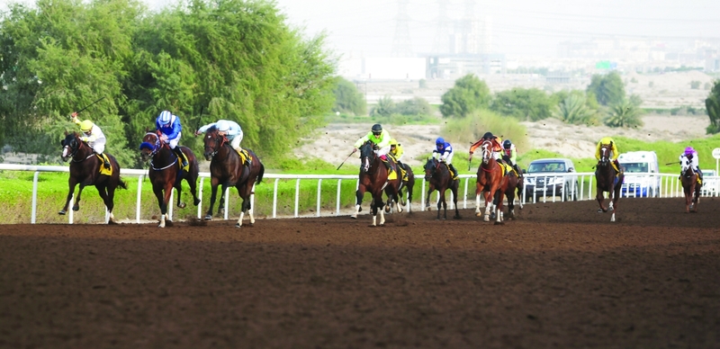 "الإثارة والقوة عنوان «يوم شادويل - سباق بر دبي» الجمعة | أرشيفية"