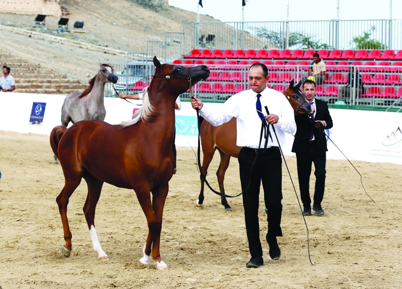 "جانب من فعاليات المهرجان | تصوير: زيشان أحمد"