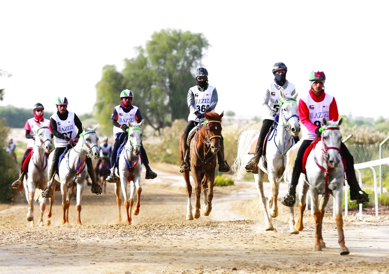 "أرشيفية"