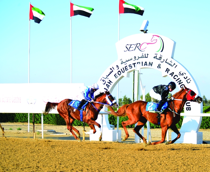 "Ⅶ خلال منافسات الشوط الرئيس | تصوير - أحمد عبيد"