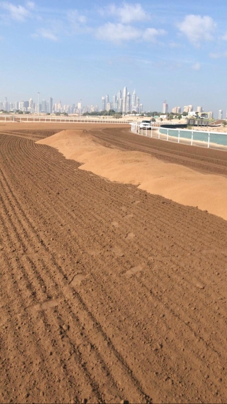 "Jebel Ali works (2)"