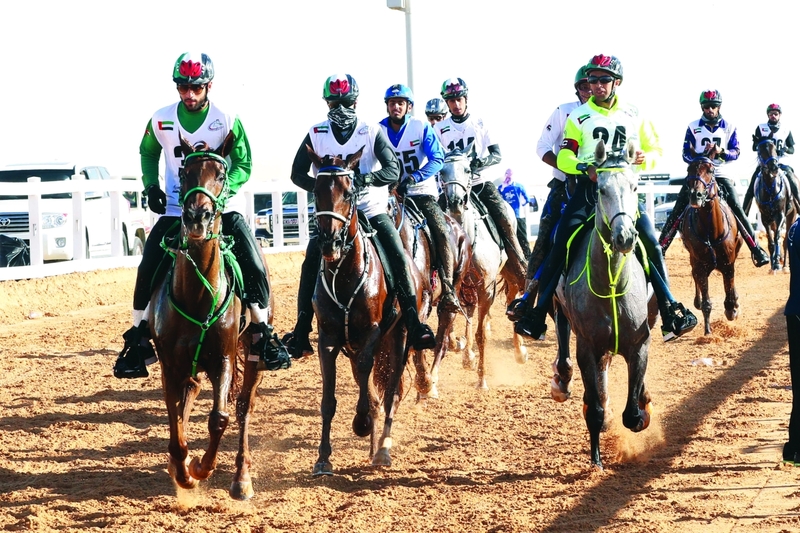 "من سباقات القدرة بالوثبة | البيان"