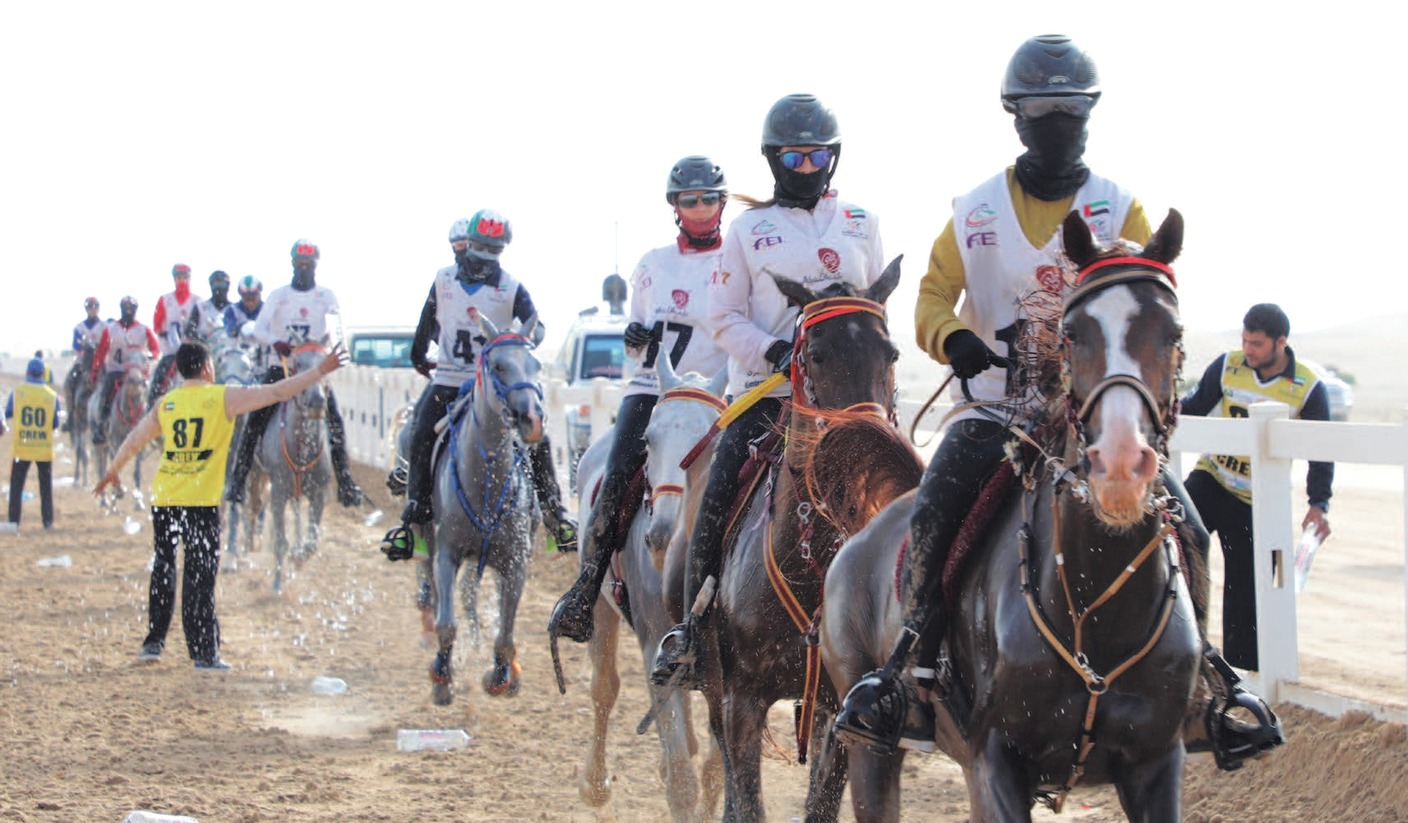 "من منافسات سابقة للقدرة في الوثبة | البيان"