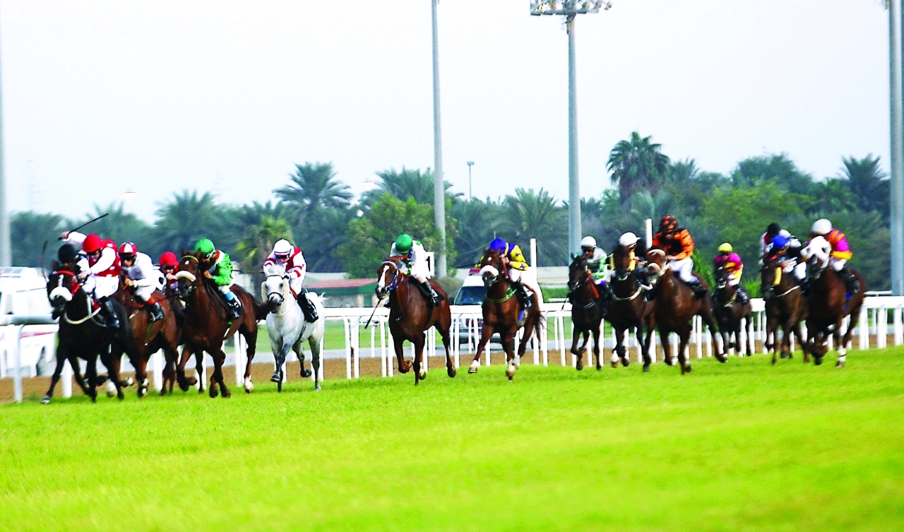 "الإثارة عنوان سباقات مضمار أبوظبي | البيان"