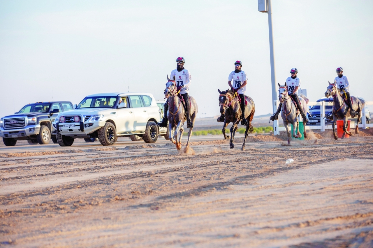 "أفضل الفرسان يشاركون في البطولة | البيان"