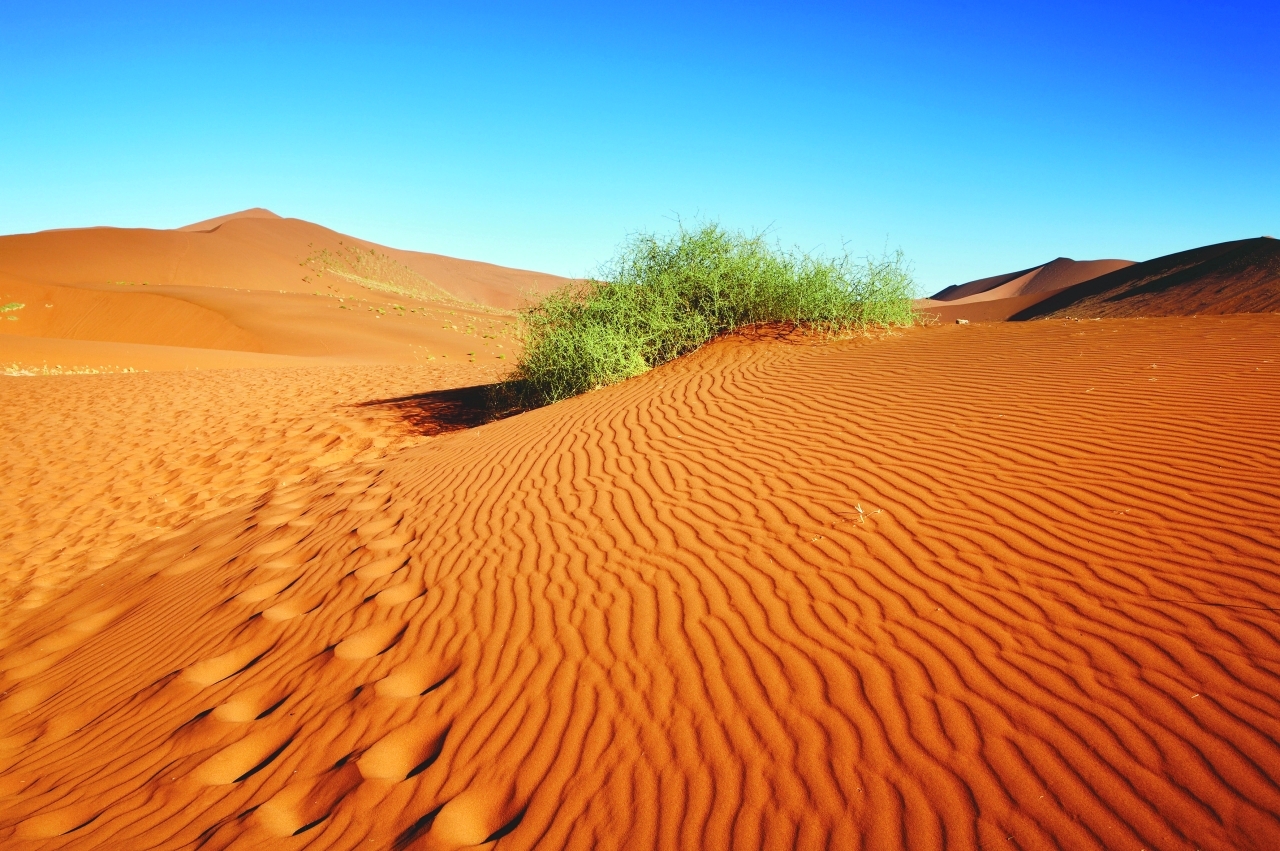 الرحّالة الإسباني أدولفو ريفادينيرا في بلاد العرب
