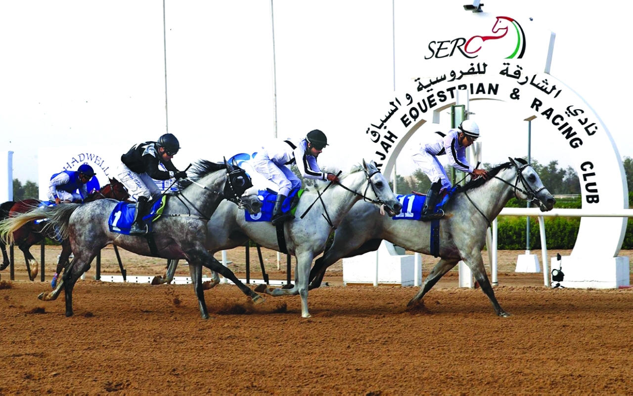 "جانب من منافسات السباق الماضي"