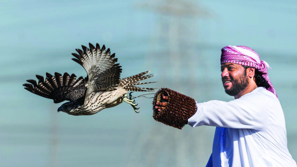 "من منافسات الطيارة اللاسلكية | البيان"
