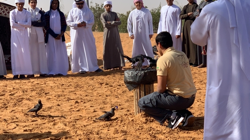 «براري» تبحث زيادة  أعداد الطيور المدربة  على التقاط النفايات