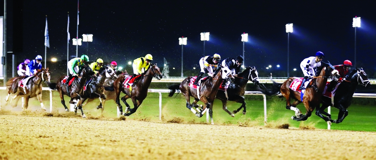 "أقوى الخيول تشارك في أمسية اليوم | أرشيفية"