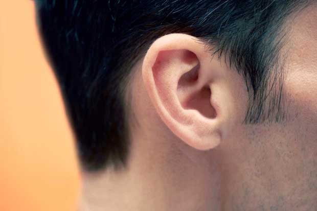 سحر الأذن.. 25 ألف خلية شعيرية تعمل بكامل طاقتها على مدار اليوم