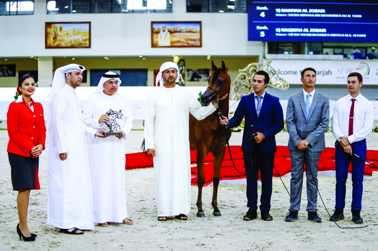 "محمد التوحيدي يتسلّم جائزة المهرة الذهبية «دي عسلية» | من المصدر"