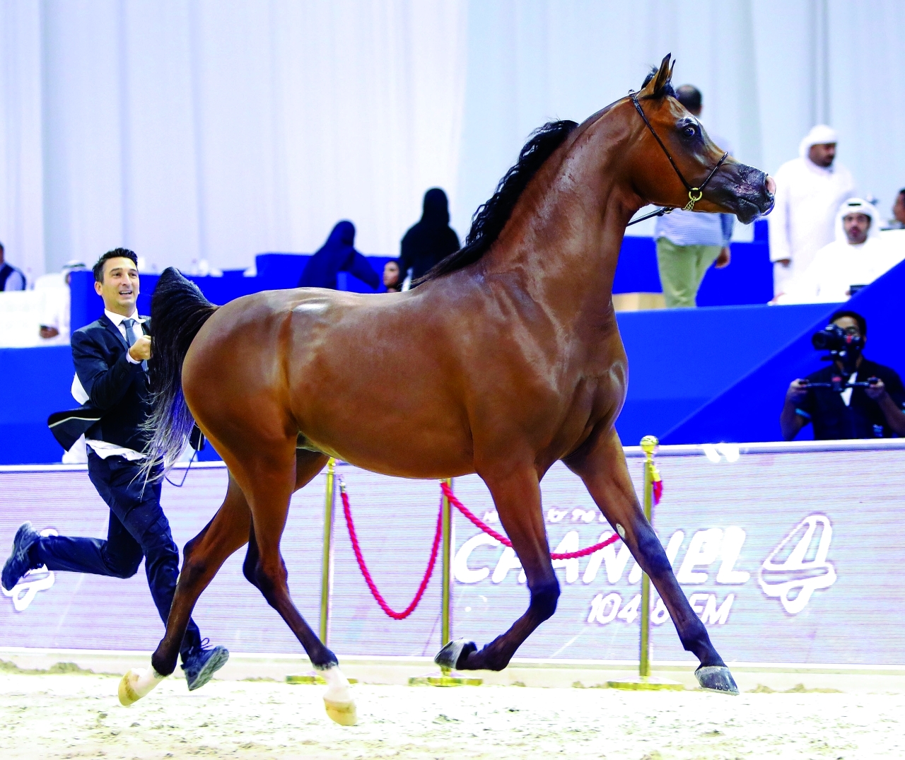 "منافسة قوية في الحدث العالمي | البيان"