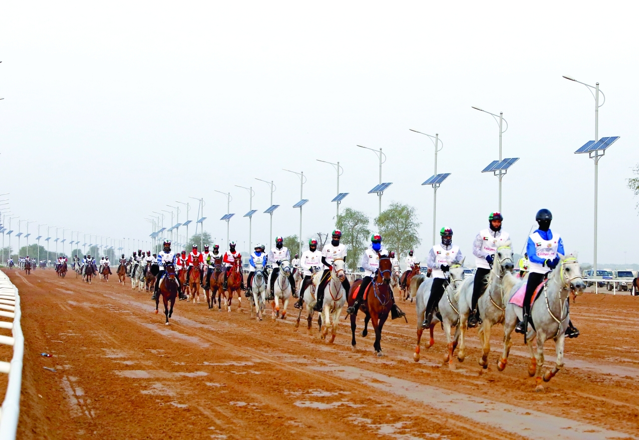"منافسات قوية شهدتها جميع سباقات مدينة دبي الدولية للقدرة | أرشيفية"