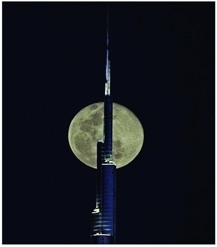 العملاقان