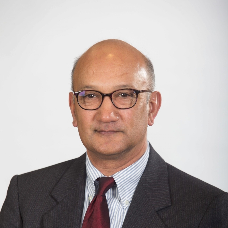 "دايا ريدي - رئيس المجلس الدولي للعلوم"