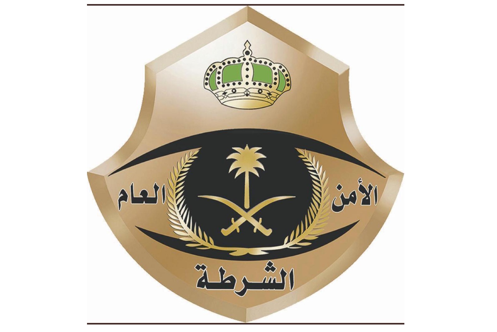 الشرطة السعودية تقبض على لصين روعا حياً كاملاً في الرياض