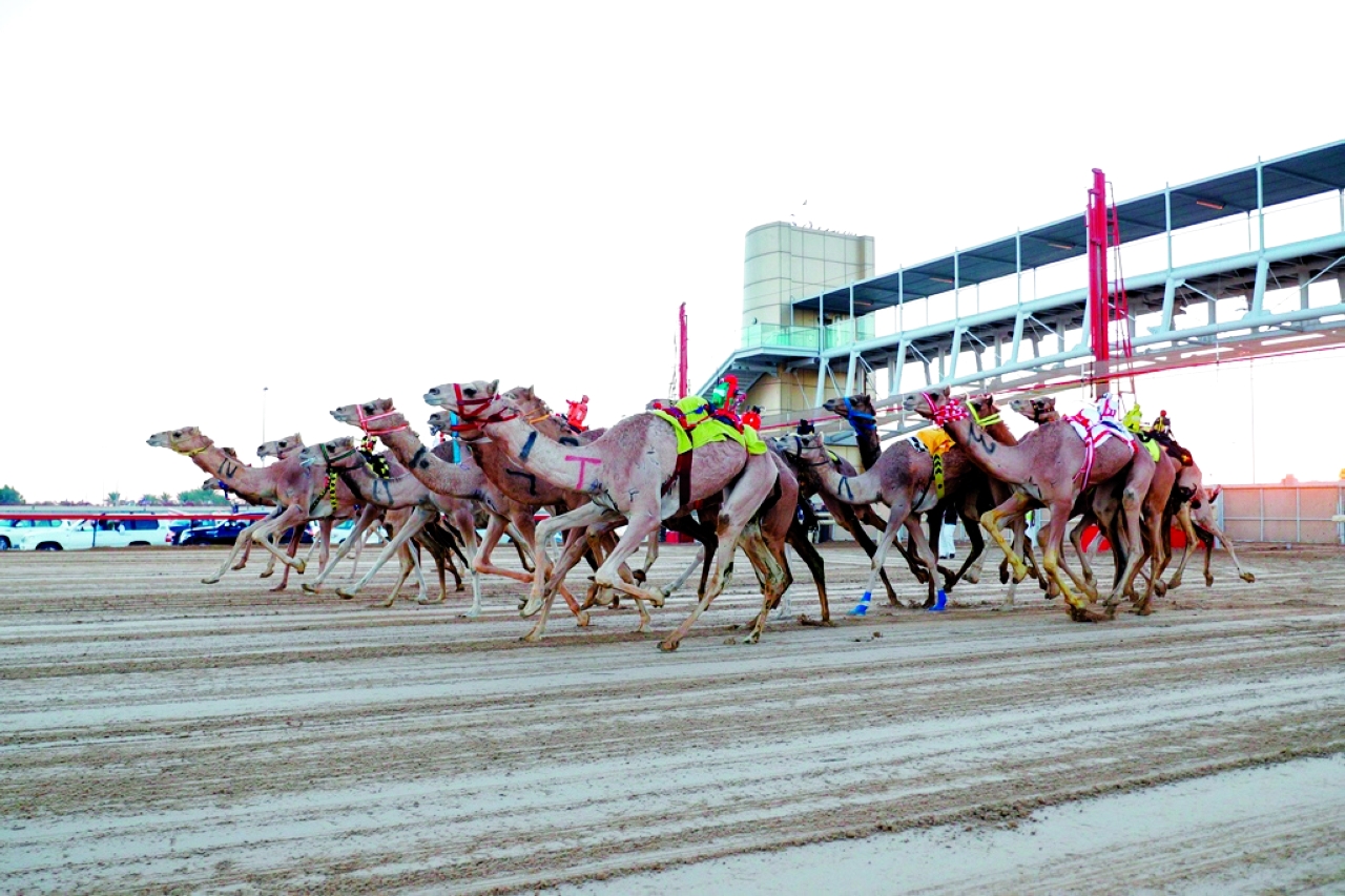 "الجائزة شهدت مشاركة نخبة الشعارات | البيان"