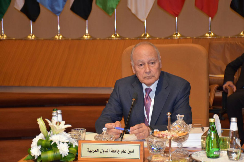 أبو الغيط يناقش انعكاسات أزمة كورونا مع مجموعة مجلس العلاقات العربية والدولية