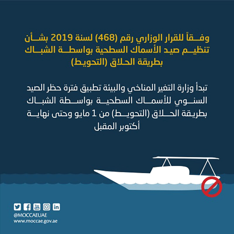 انتهاء موسم صيد الأسماك السطحية بشباك الحلاق