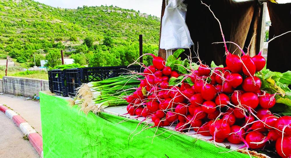 "بسطة أبو أنس بانتظار المشترين"