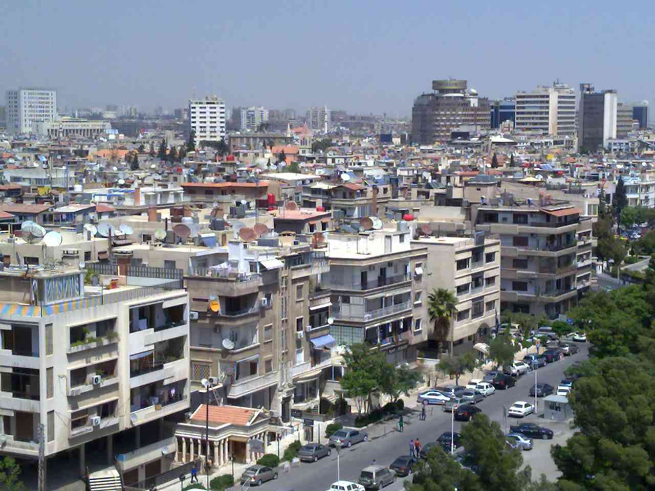 تزامناً مع «كورونا».. الحشرات تغزو دمشق