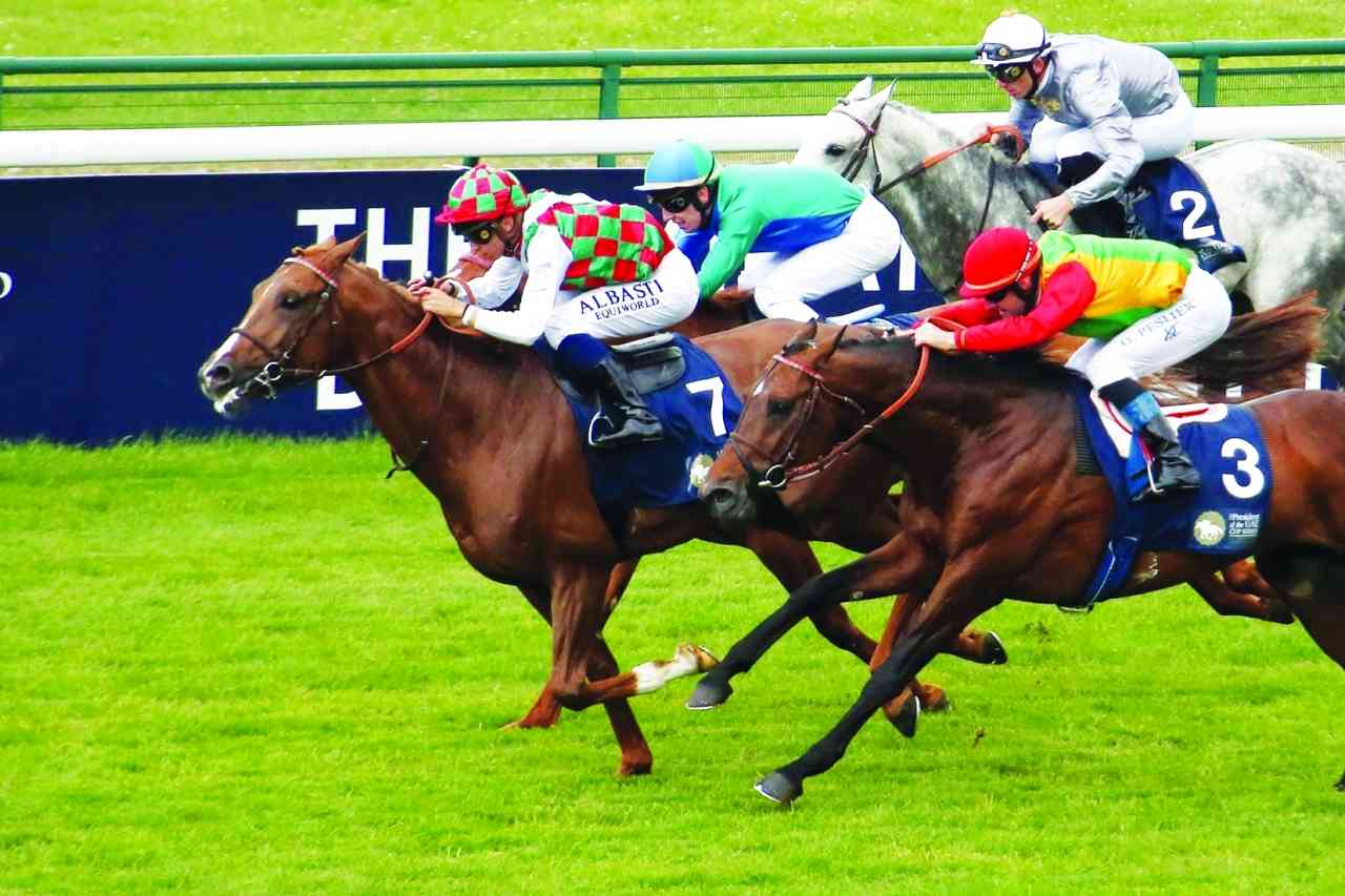 "المحطة الفرنسية تحتضن انطلاقة سلسلة سباقات كأس رئيس الدولة | من المصدر"