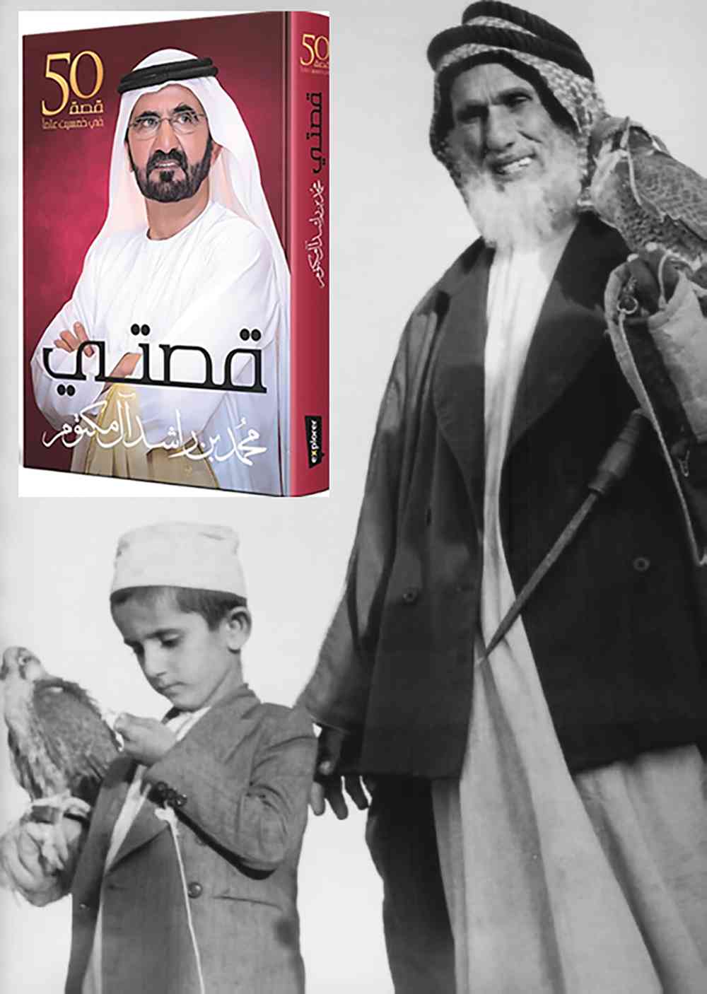 «النوم مع العقارب»..  فيض حكمة محمد بن راشد
