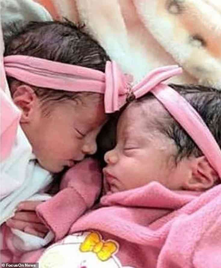 شعر بالإهمال بعد ولادتهما.. الغيرة تدفع كلباً لقتل رضيعتين توأم