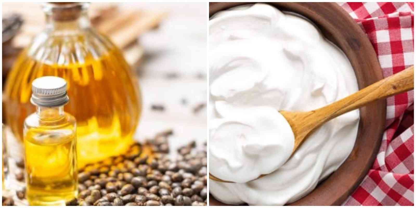 ما فوائد تناول الزبادي مع زيت الزيتون على صحتك؟
