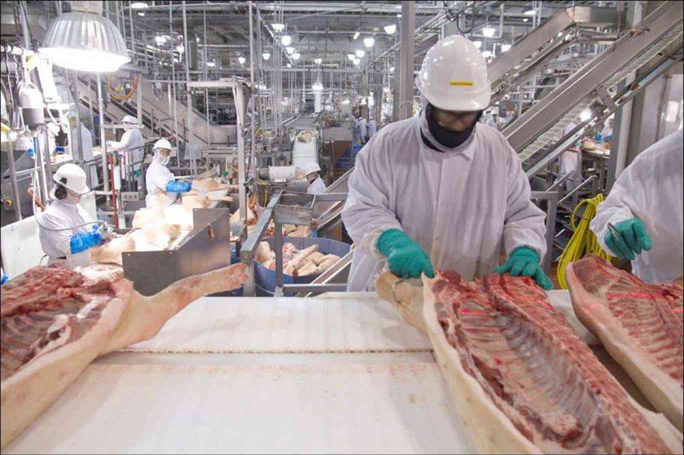 إغلاق مصنع لحوم في أورغواي بسبب "كورونا"