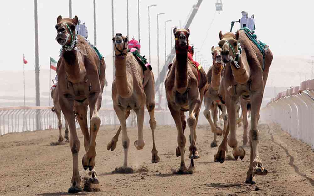 "أرشيفية"