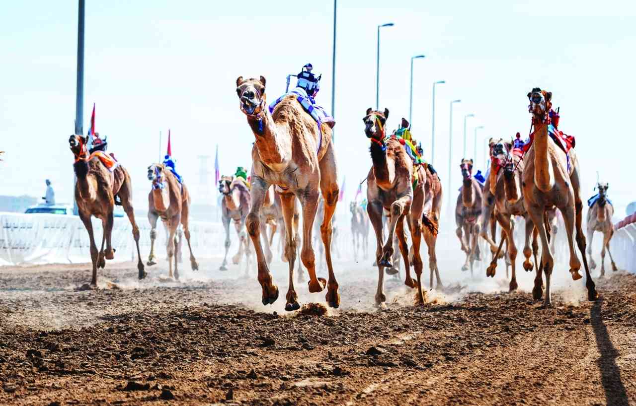 "إثارة في منافسات اللقايا | البيان"