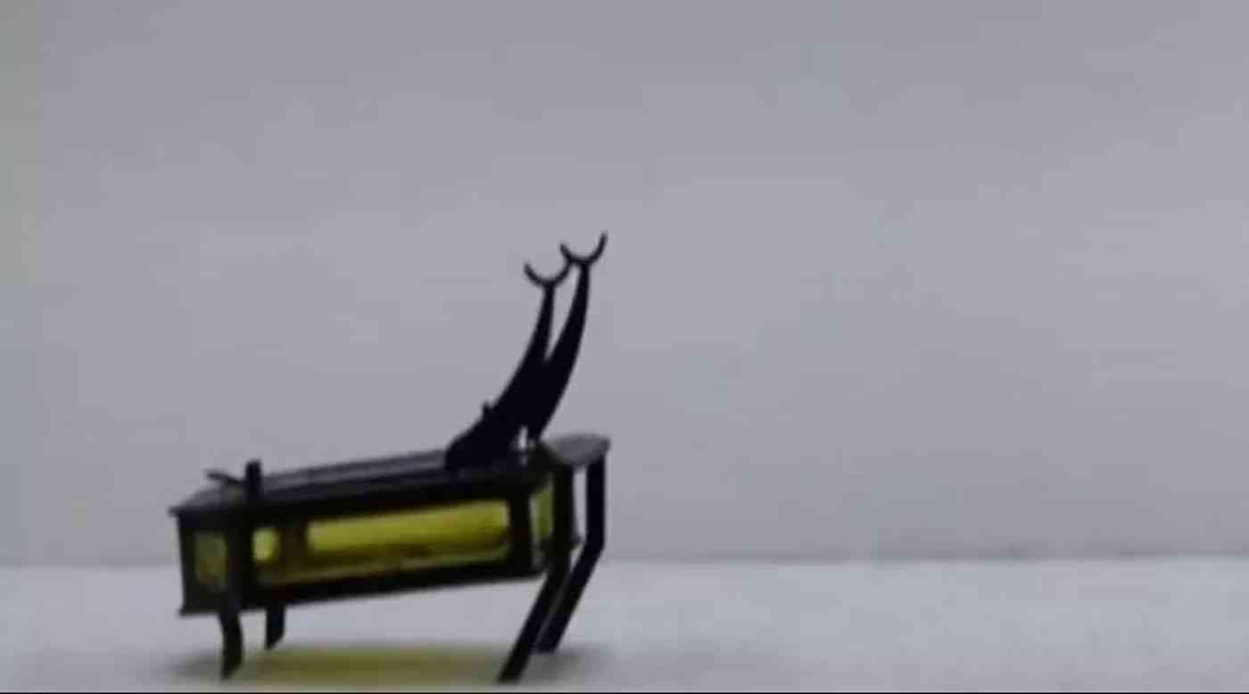 شاهد.. الخنفساء الروبوت