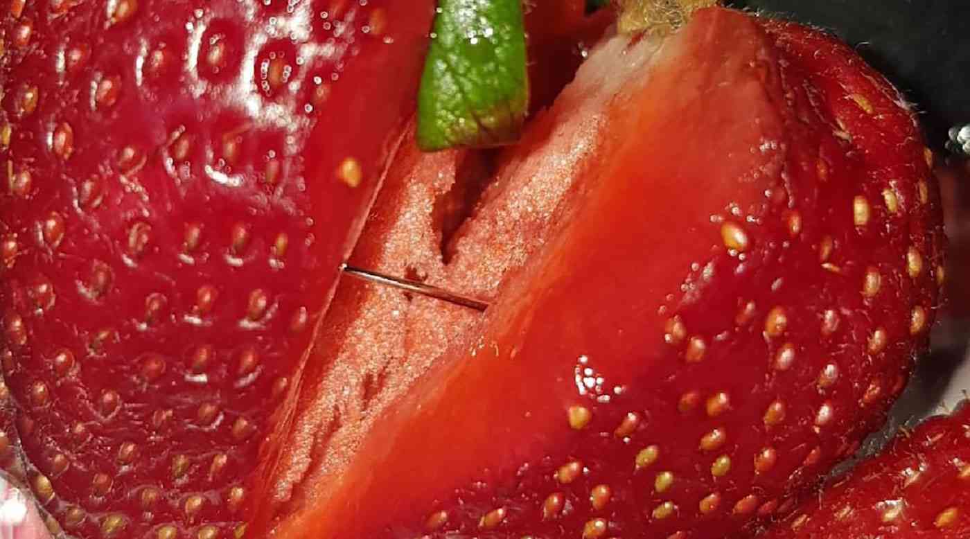 فراولة بالإبر في غداء تلميذة