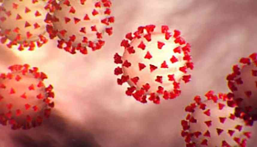 تطلب الطلاق بعد إصابة زوجها بكورونا