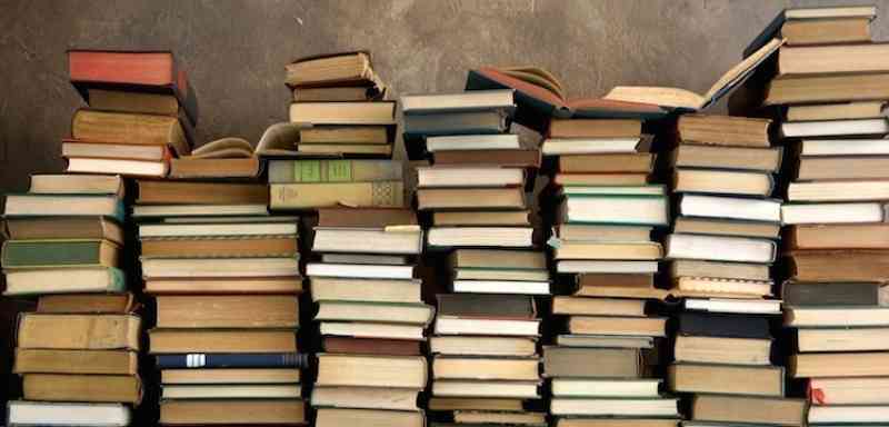 الهولندية ماريكه لوكاس تحوز «بوكر الرواية المترجمة»