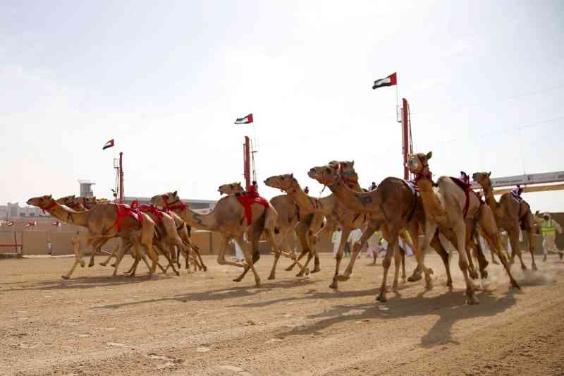 «خصة» تتصدر اللقايا في السباقات التمهيدية بالوثبة