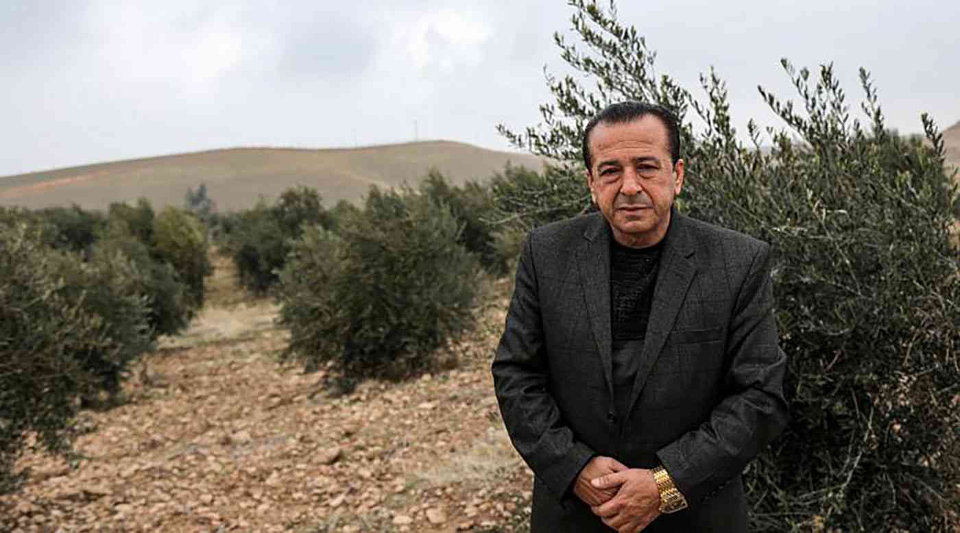 أشجار الزيتون السورية تجد وطناً جديداً في كردستان العراق