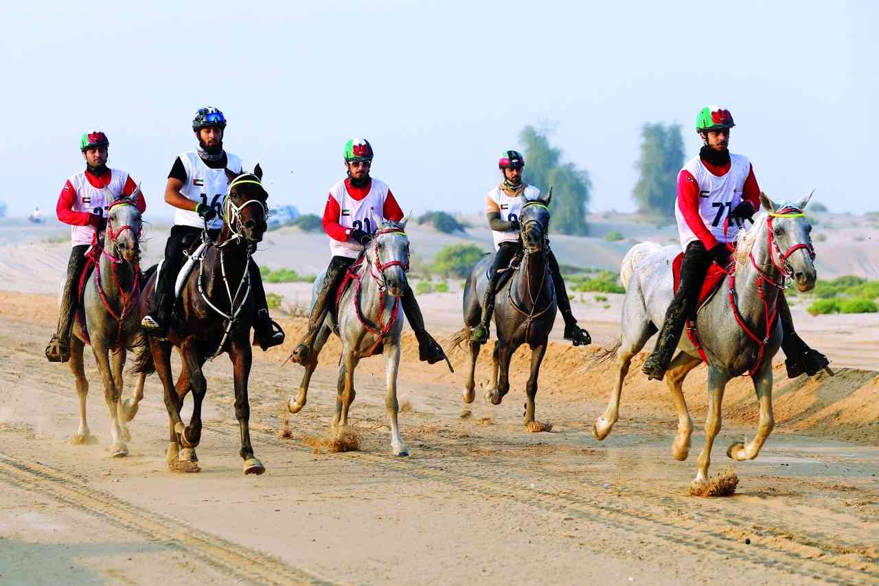 اتحاد الإمارات يتصدى لافتراءات «دولي الفروسية» ويلجأ  لـ «كاس»