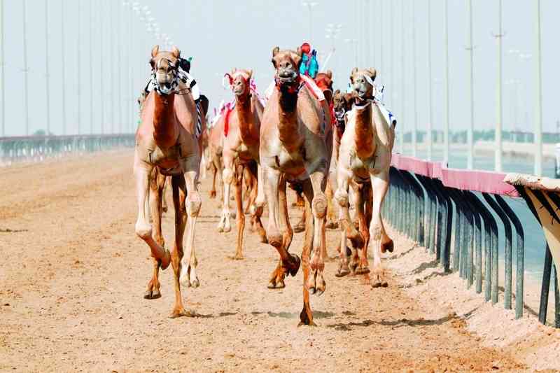 "أرشيفية"
